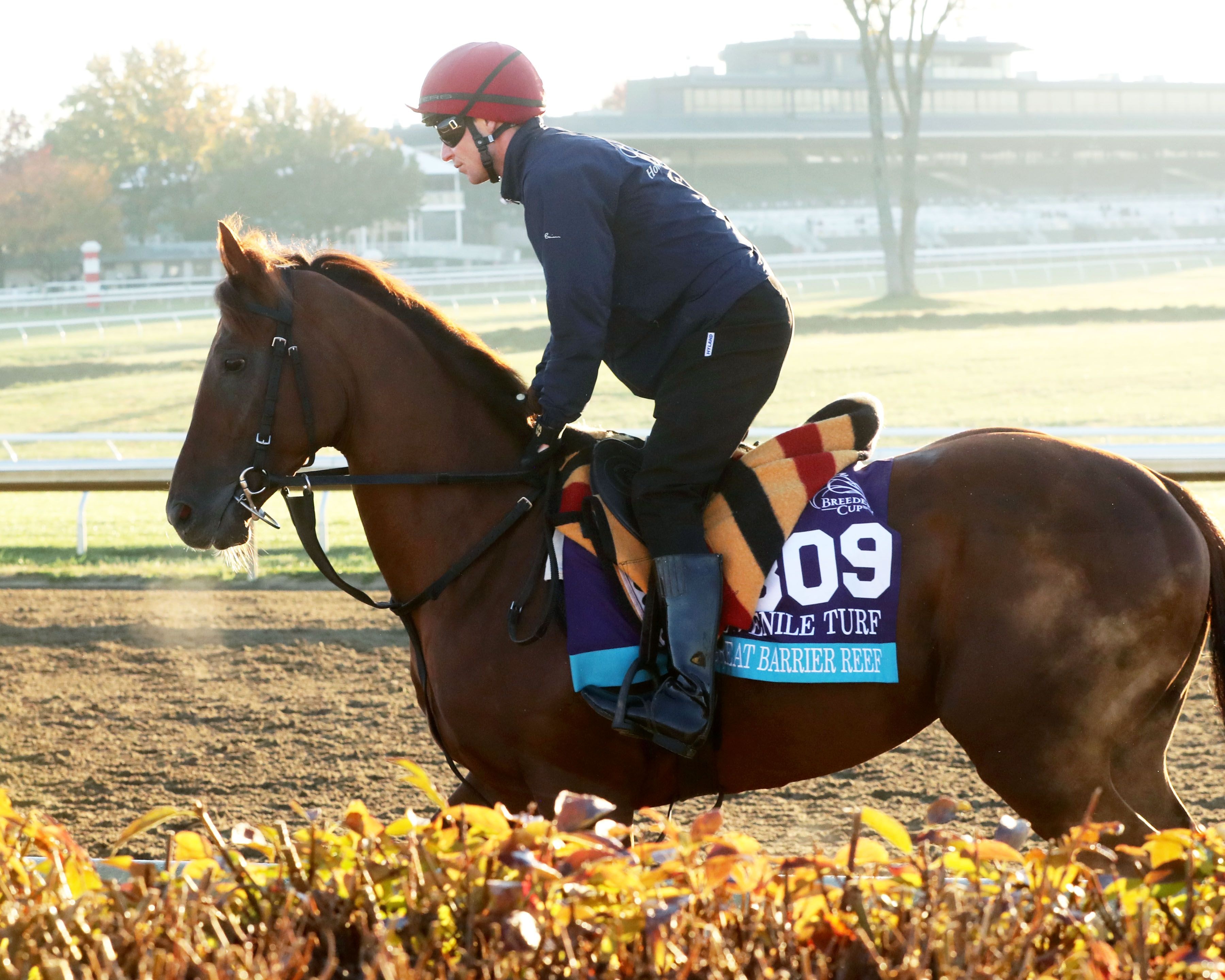 Great Barrier Reef at Keeneland.