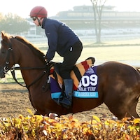 Great Barrier Reef at Keeneland.