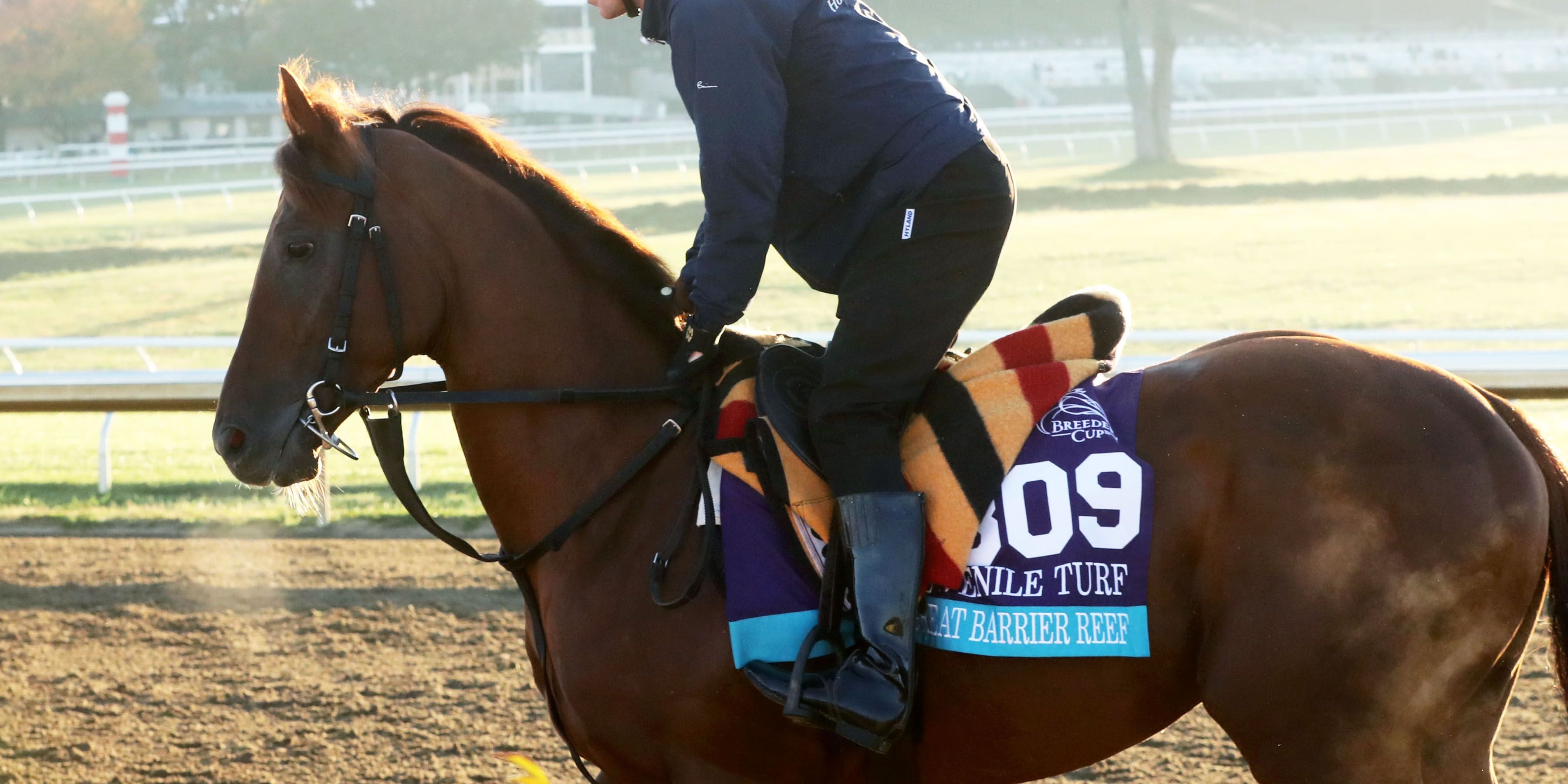 Great Barrier Reef at Keeneland.