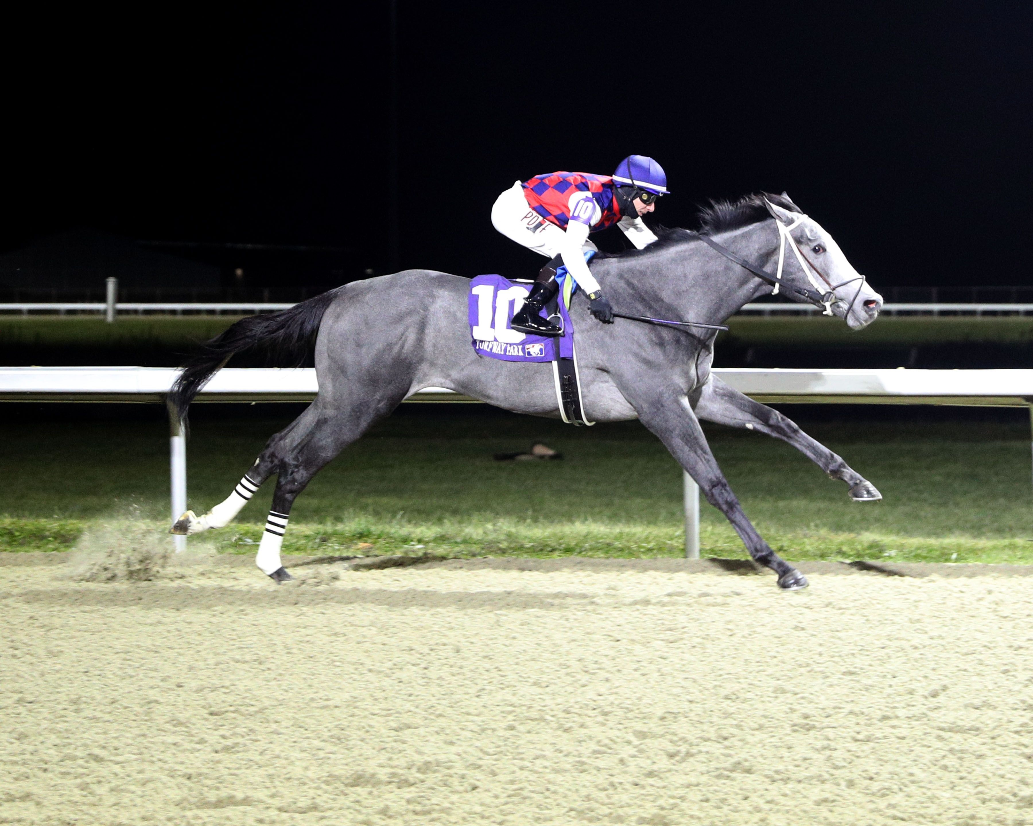 Great White wins the Gary L. Wilfert Memorial at Turfway Park.
