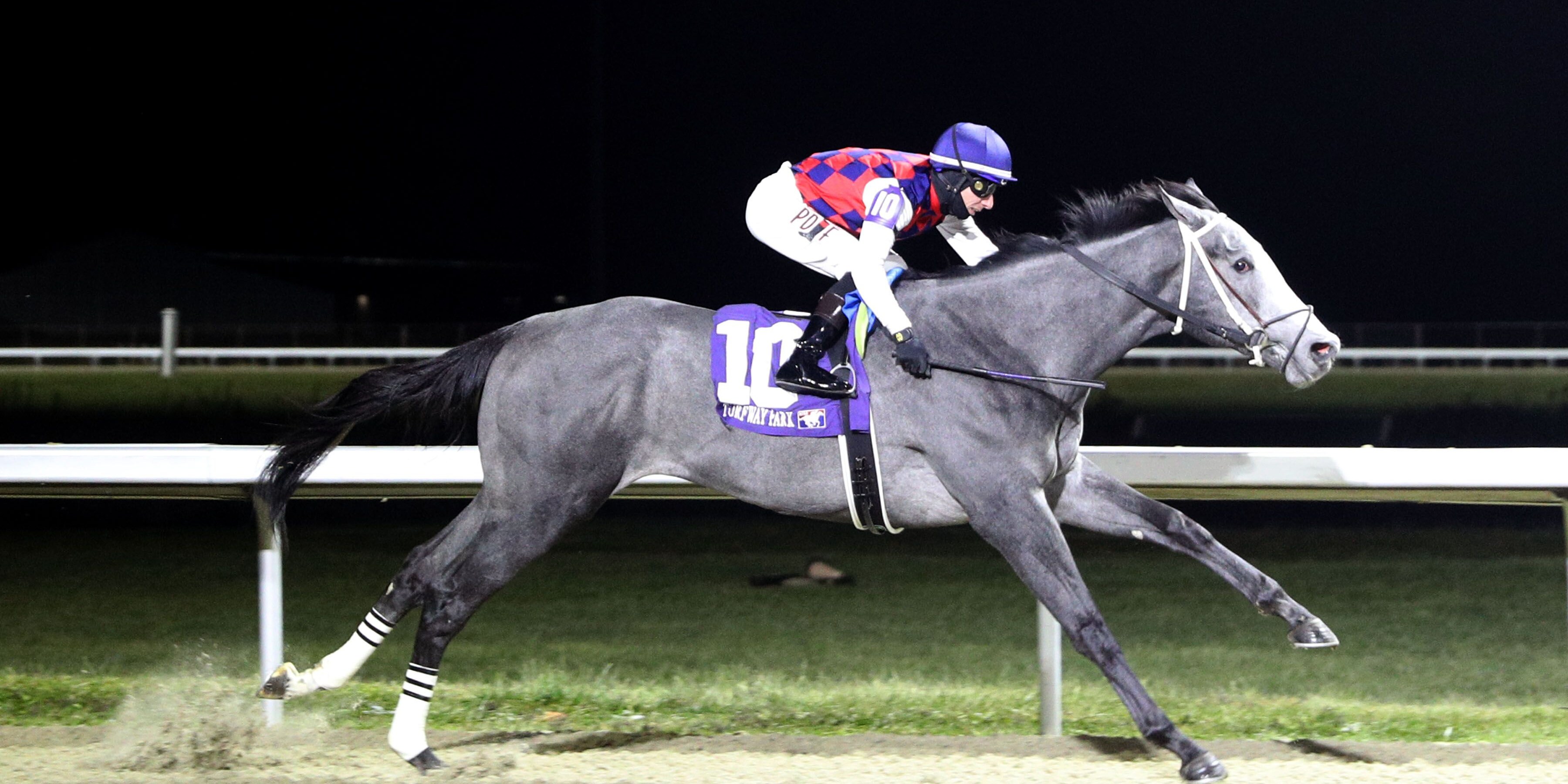 Great White wins the Gary L. Wilfert Memorial at Turfway Park. 
