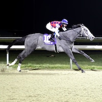 Great White wins the Gary L. Wilfert Memorial at Turfway Park.