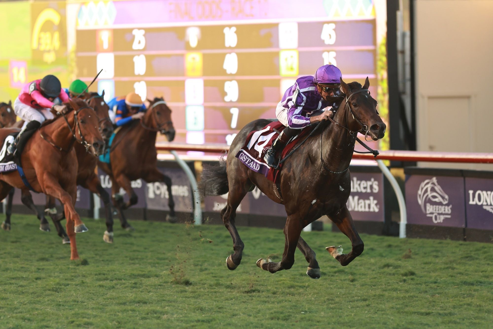 Gstaad winning the Breeders' Cup Juvenile Turf (G1) at Del Mar