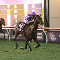 Gstaad winning the Breeders' Cup Juvenile Turf (G1) at Del Mar