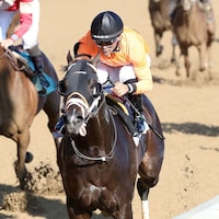 Guns Loaded breaking his maiden at Churchill Downs (Photo by Coady Media)