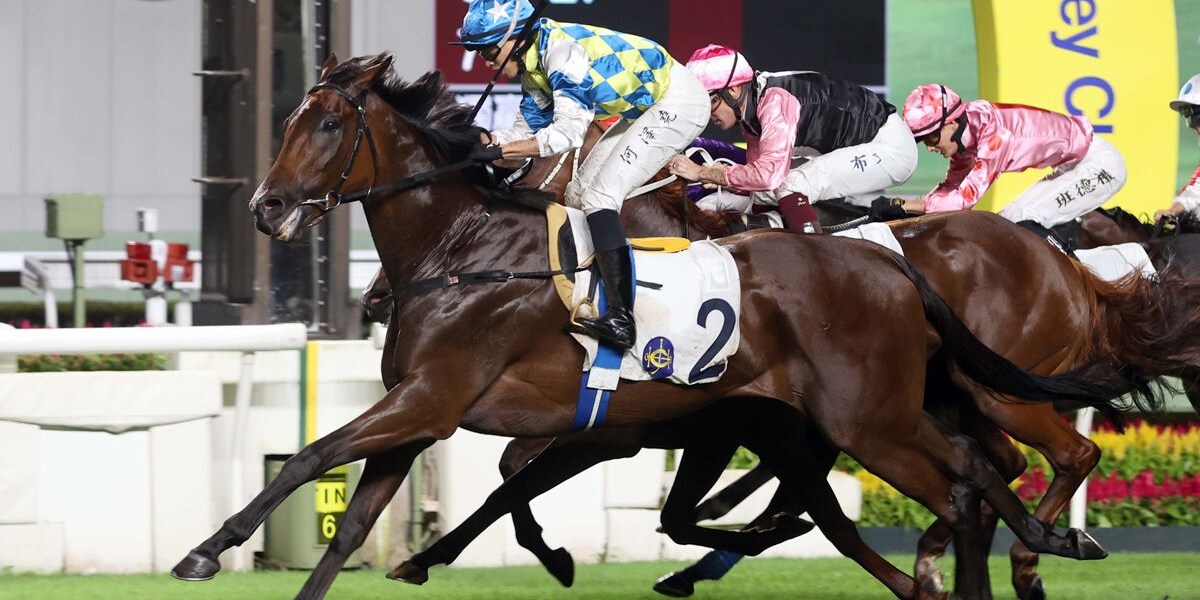 Galaxy Patch was honored as Hong Kong's champion four-year-old
