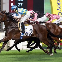 Galaxy Patch was honored as Hong Kong's champion four-year-old