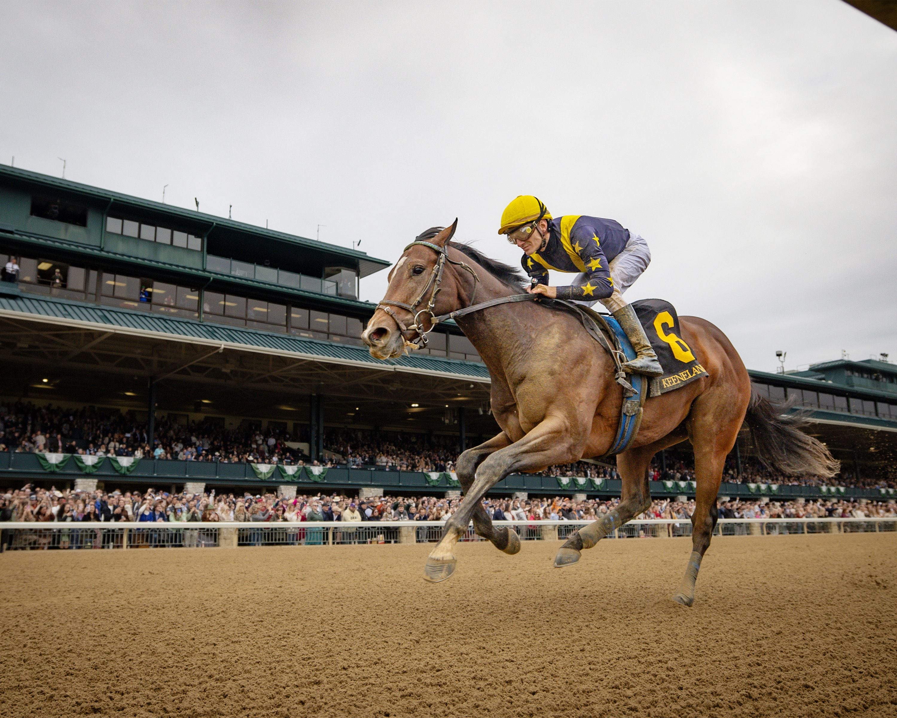 Gallivant winning the Bowman Mill S. at Keeneland