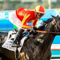 Gaming winning the Del Mar Futurity (G1) at Del Mar (Photo by Benoit Photo)
