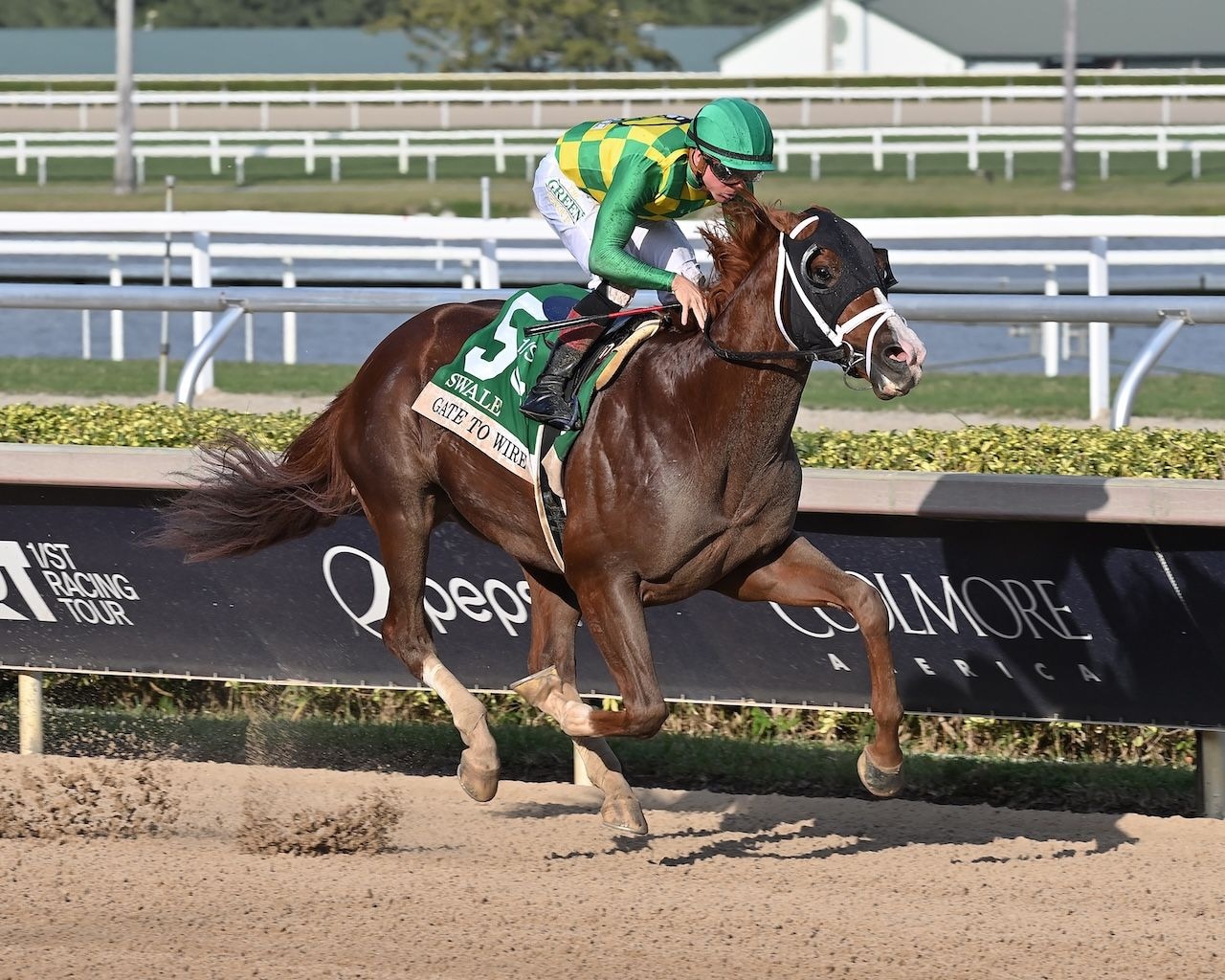 Gate to Wire wins the Swale at Gulfstream Park.