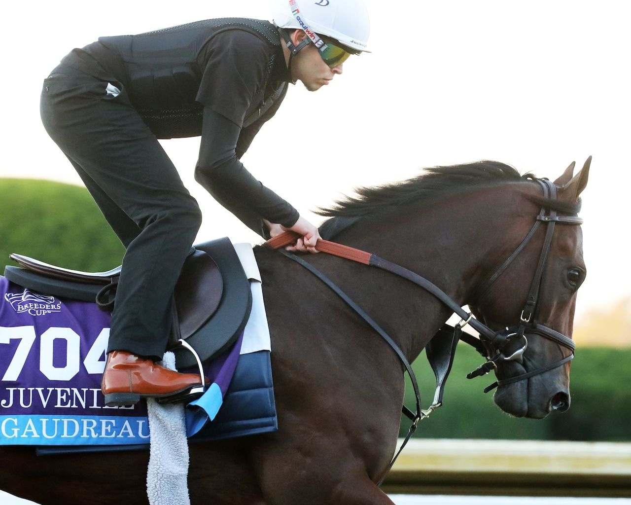 Gaudreaux works ahead of Breeders' Cup weekend at Keeneland.