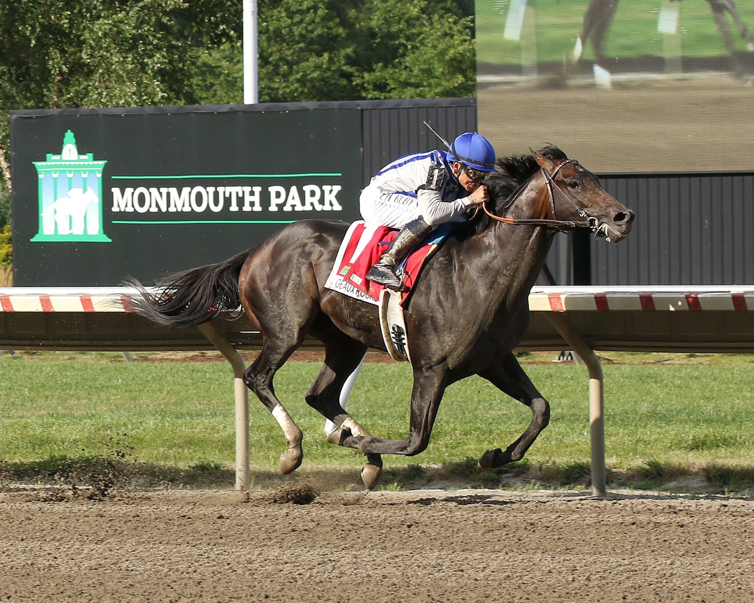 Haskell hero Geaux Rocket Ride became the eighth three-year-old colt to win a Grade 1 this year (