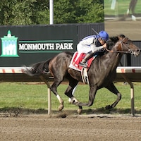 Haskell hero Geaux Rocket Ride became the eighth three-year-old colt to win a Grade 1 this year (