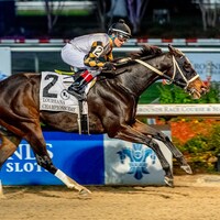 Geaux Sugar wins on Louisiana Champions Day.