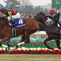 Gentildonna went out on top in the 2014 Arima Kinen (G1)
