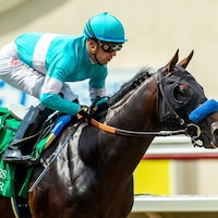 Getaway Car romps in the Best Pal