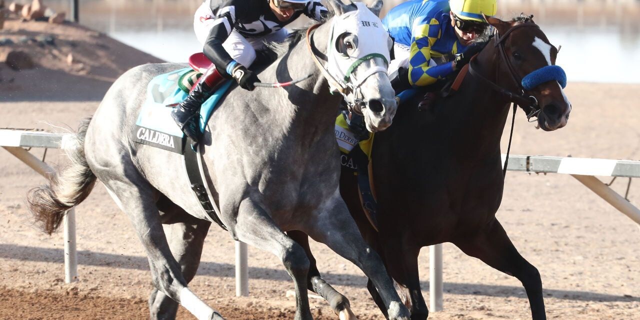 Getaway Car (inside) winning the Sunland Park Derby at Sunland Park (Photo by Coady Media)