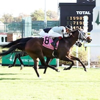 Ghostly Gal wins the Tiara-Claiming Crown at Churchill Downs.