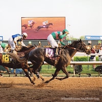 Giacomo wins the 2005 Kentucky Derby 