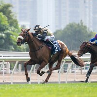 Giavellotto wins the 2024 Hong Kong Vase (G1)