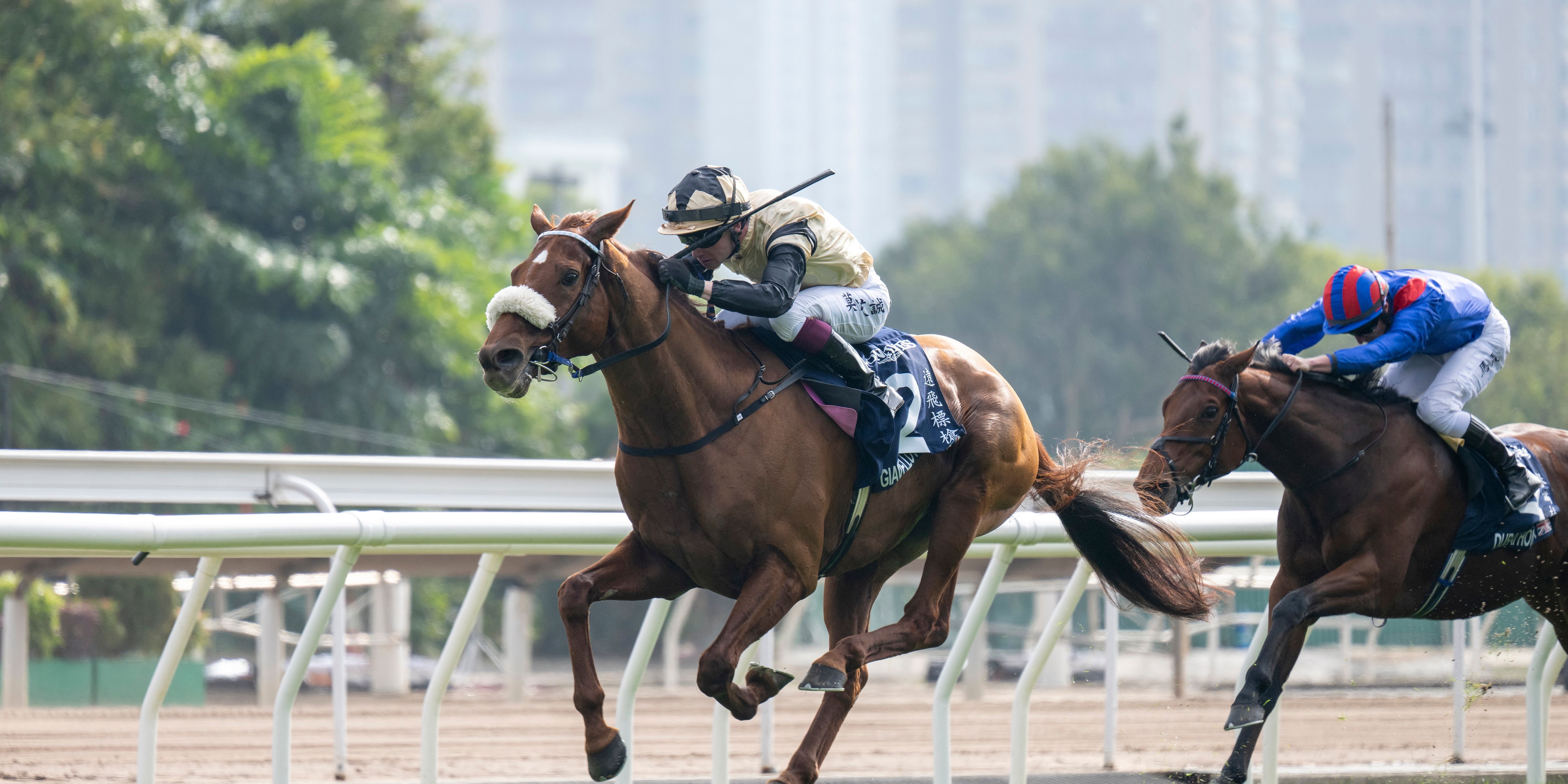 Giavellotto wins the 2024 Hong Kong Vase (G1)