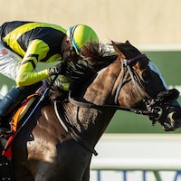 Gimmie A Nother wins the John C. Mabee Stakes at Del Mar. 