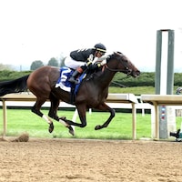 Gin Gin wins the Doubledogdare at Keeneland.