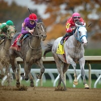 Glengarry winning the Bowman Mill S. at Keeneland (Photo by Keeneland Photo)