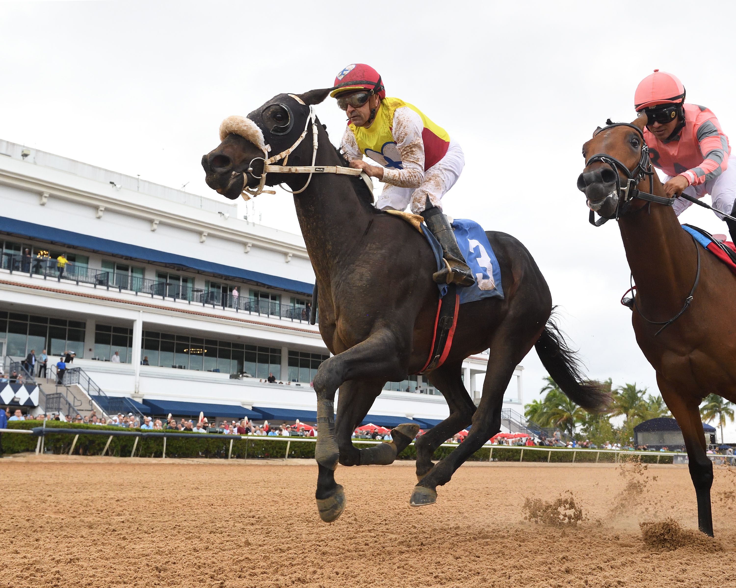 Global Aviator wins at Gulfstream Park.