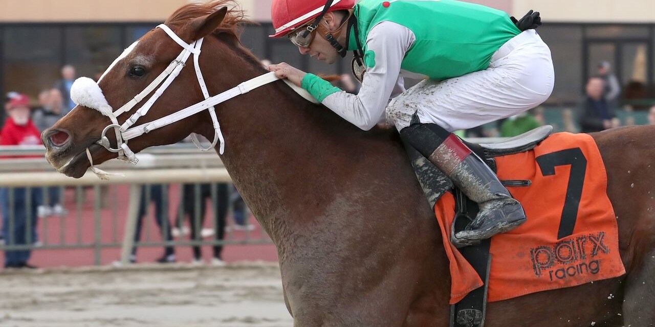 Global Steve wins the Parx Future Stars at Parx.