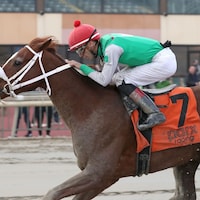 Global Steve wins the Parx Future Stars at Parx.
