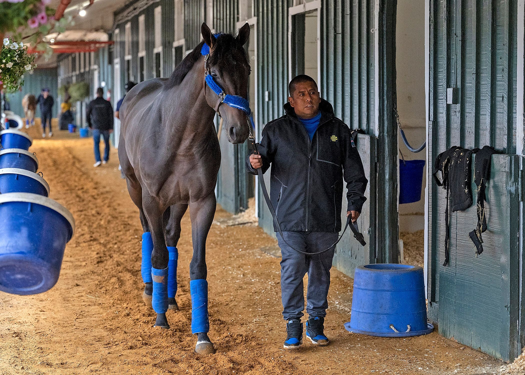 Goal Oriented arrives at Pimlico Park for Preakness 150 (Photo by MJC/Jerry Dzierwinski)