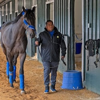 Goal Oriented arrives at Pimlico Park for Preakness 150 (Photo by MJC/Jerry Dzierwinski)