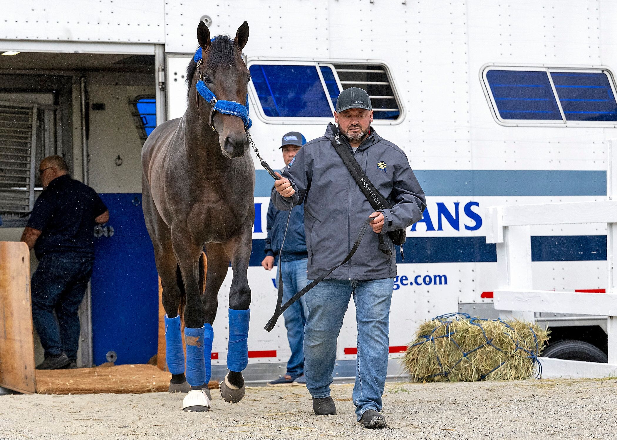 Goal Oriented arrives at Pimlico Park for Preakness 150 (Photo by MJC/Jerry Dzierwinski)