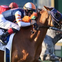 Gold Phoenix winning the Del Mar H. (G2) at Del Mar (Photo by Horsephotos.com)