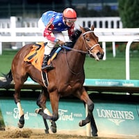 Golden Gamble wins at Churchill Downs.