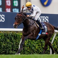 Golden Sixty wins the Hong Kong Mile for the third time in 2023