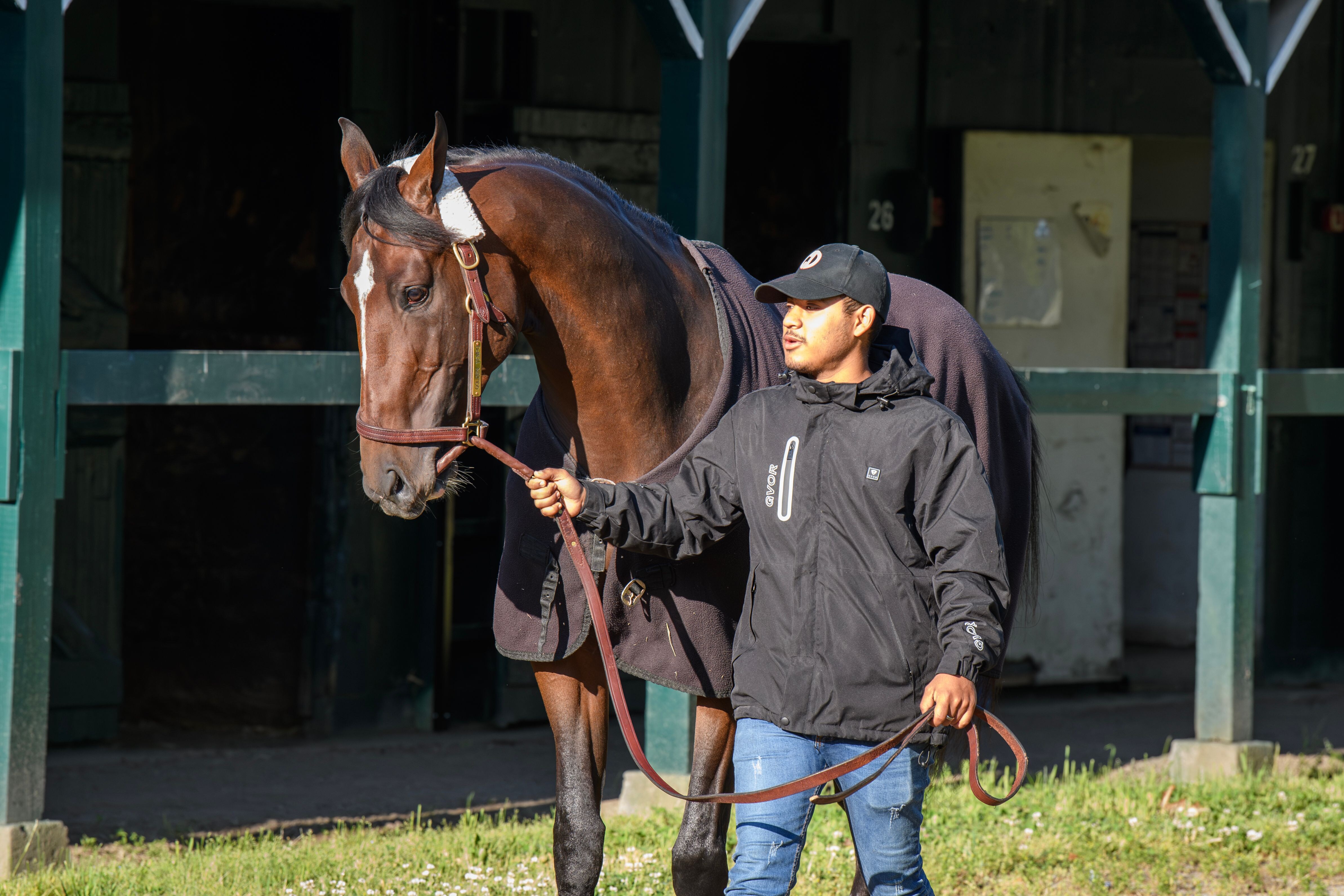 Golden Tempo at Bemlont Park (Photo by Coglianese Photos/Chris Rahayel)