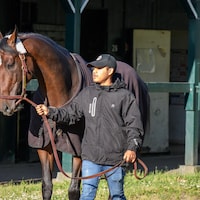 Golden Tempo at Bemlont Park (Photo by Coglianese Photos/Chris Rahayel)