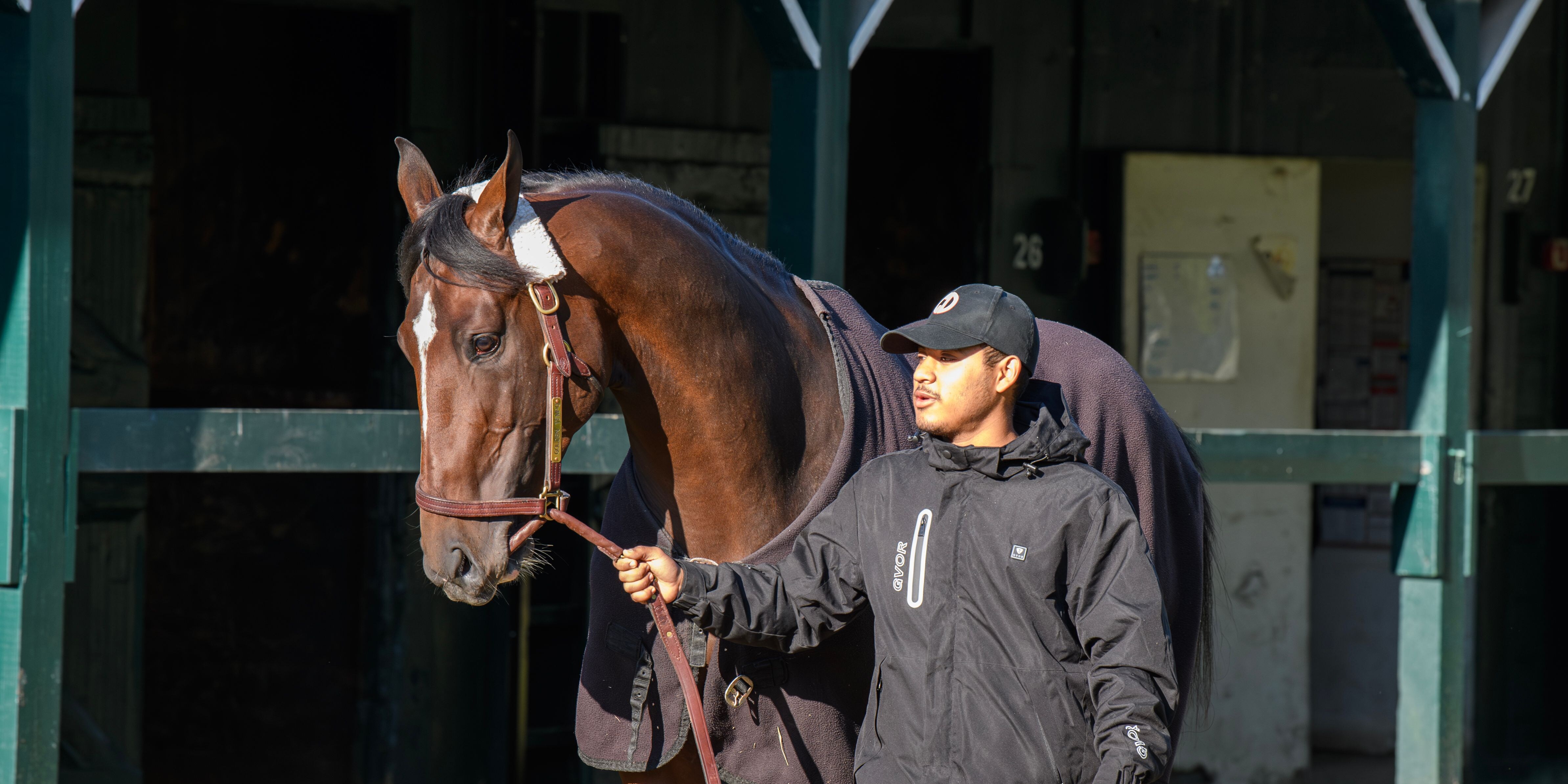 Golden Tempo at Bemlont Park (Photo by Coglianese Photos/Chris Rahayel)
