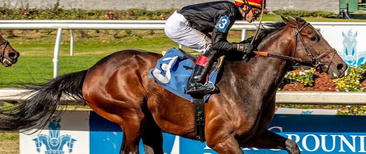 Golden Tempo wins at Fair Grounds.