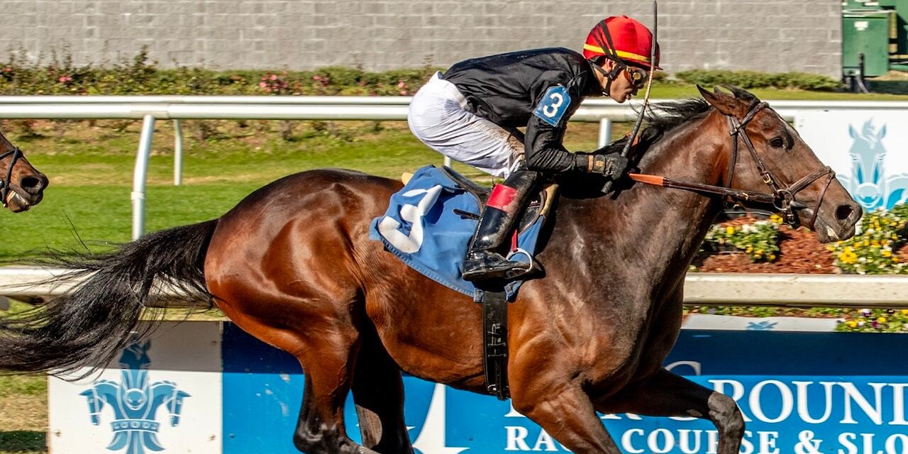 Golden Tempo wins at Fair Grounds.