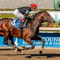 Golden Tempo wins at Fair Grounds.