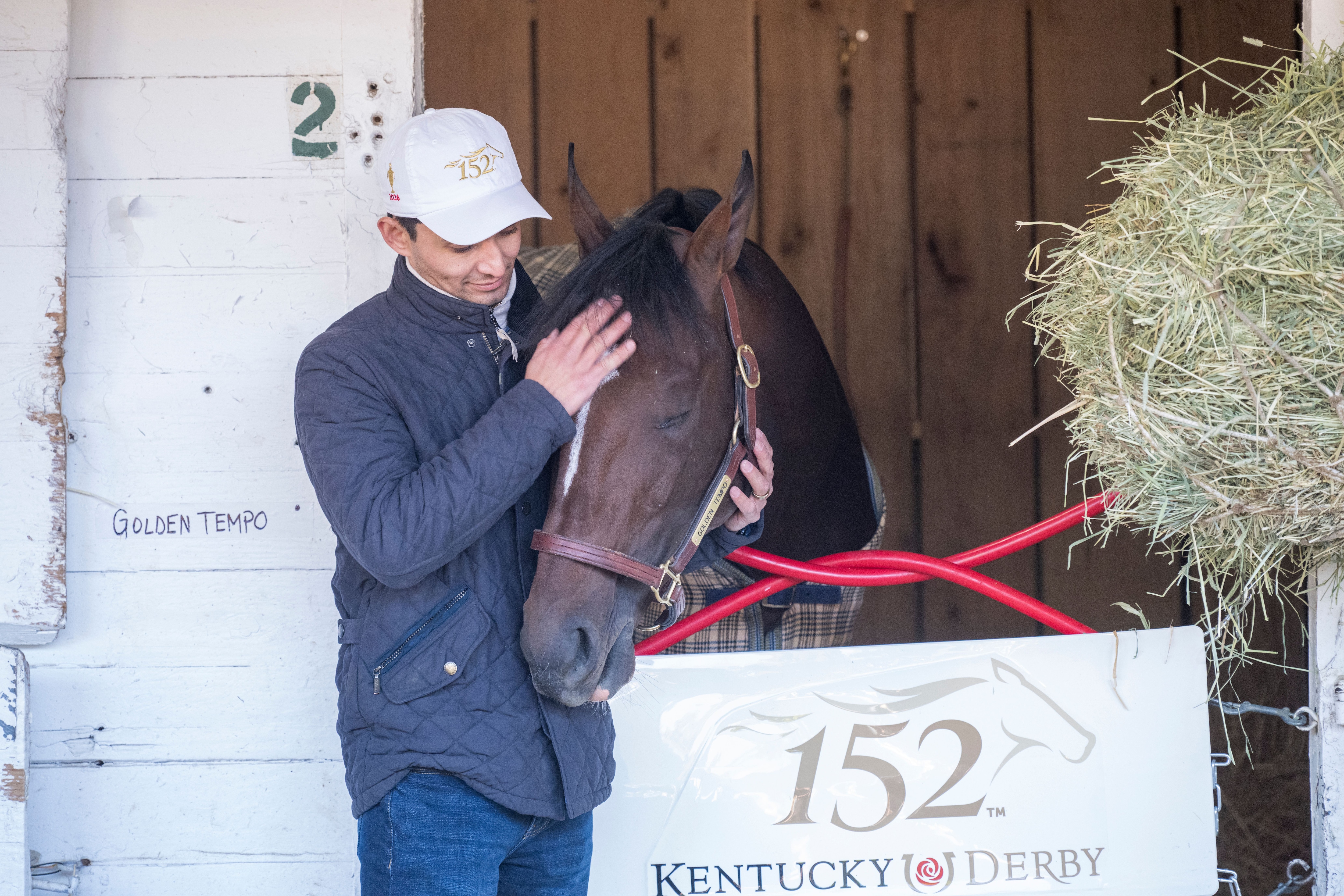 Golden Tempo (Photo by Horsephotos.com)