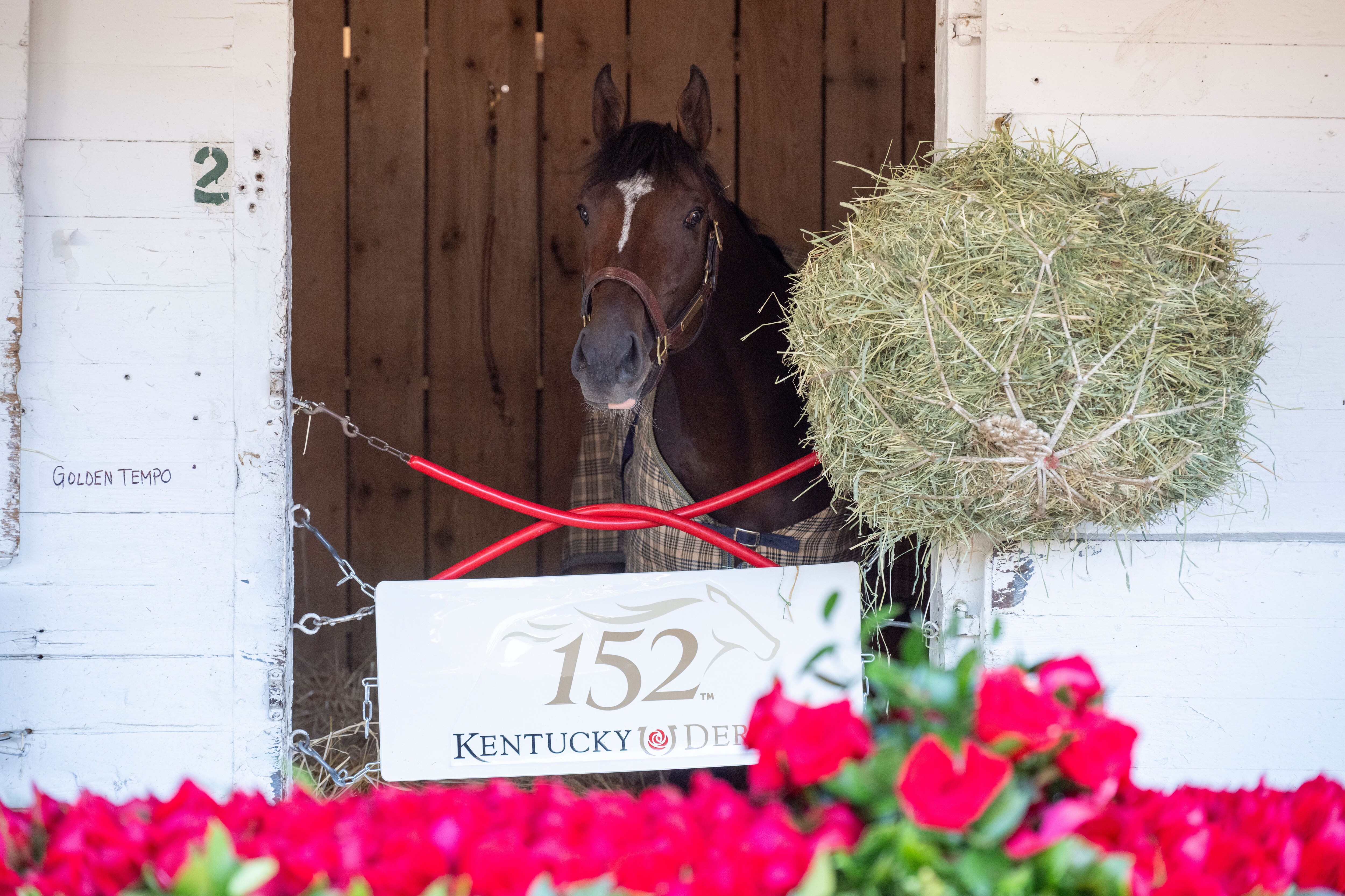 Golden Tempo after winning the Kentucky Derby (Photo by Horsephotos.com)