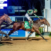 Golden Tempo wins the Lecomte at Fair Grounds.