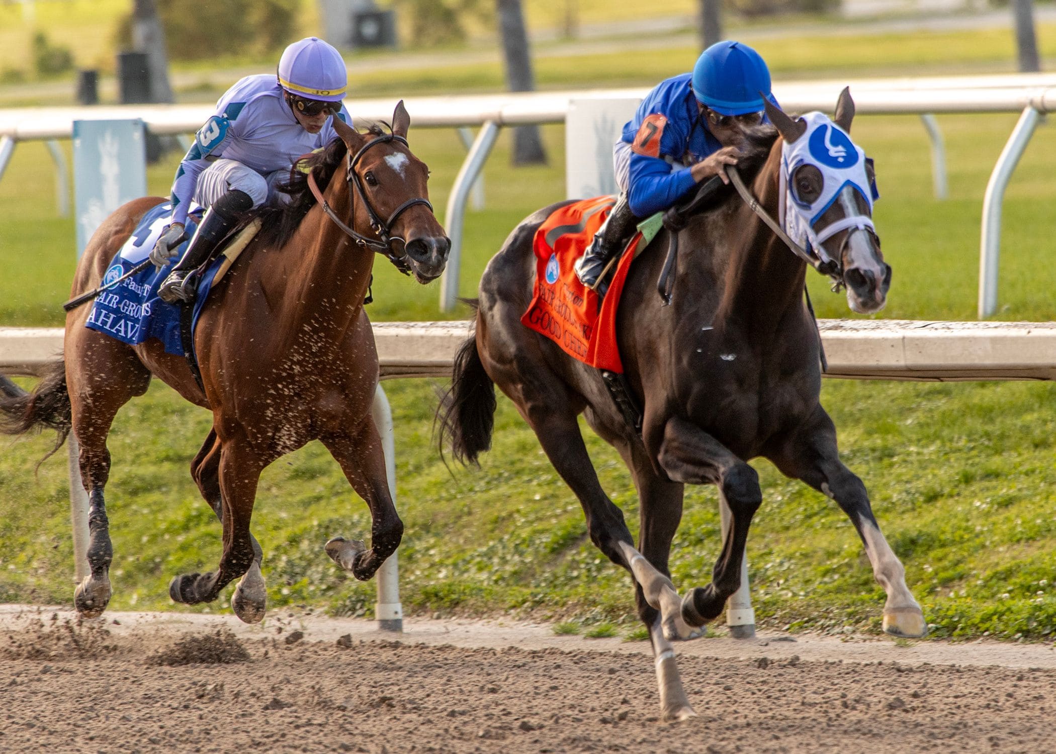 Good Cheer wins the Fair Grounds Oaks at Fair Grounds.