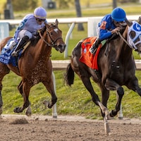 Good Cheer wins the Fair Grounds Oaks at Fair Grounds.