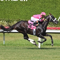 Gran Oriente wins the Soldier's Dancer H. at Gulfstream Park