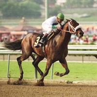 Grand Canyon wins the Oak Tree's Norfolk Stakes.